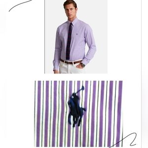 Polo RL Purple Striped Button Down Shirt